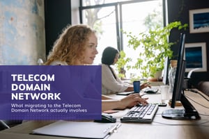 What migrating to the Telecom Domain Network actually involves
