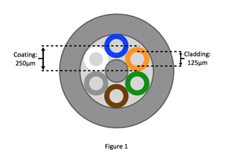 Figure 1 Fibers in cable