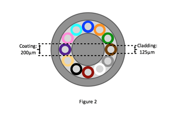 Figure 2 bundled fiber