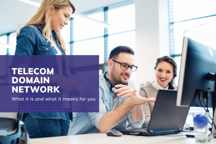 Blog: What is Esri’s Telecom Domain Network (TDN)?